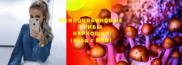 индика Зуевка