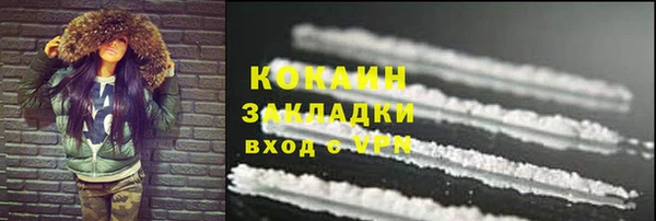 винт Новозыбков