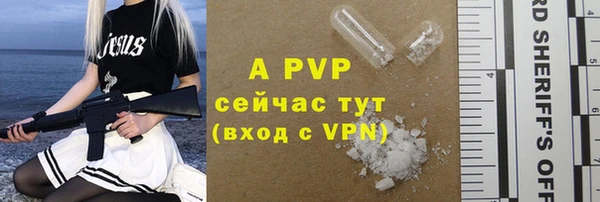 винт Новозыбков