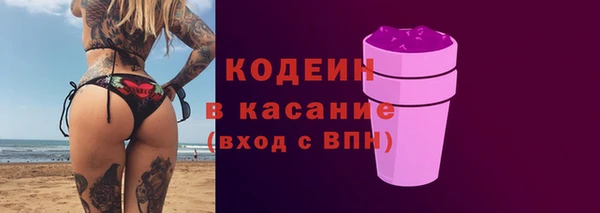 индика Зуевка