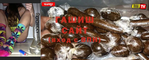 индика Зуевка