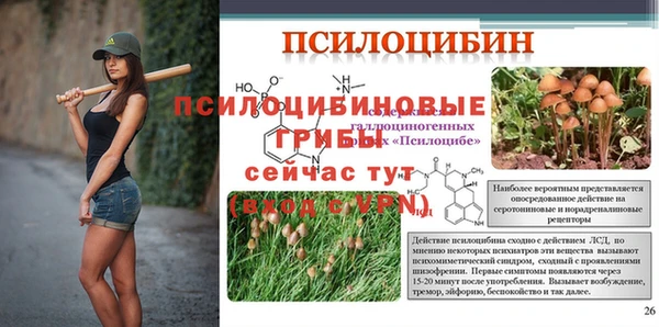 СК Нефтегорск