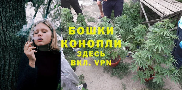 a pvp Дмитриев