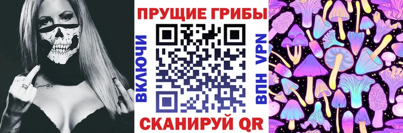Галлюциногенные грибы Cubensis  где найти   hydra рабочий сайт  Краснозаводск 