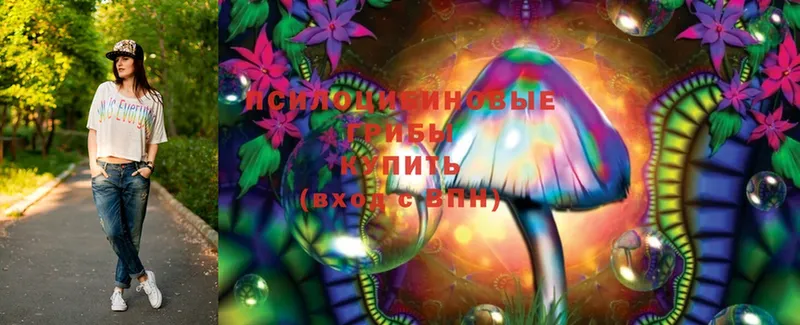 Псилоцибиновые грибы MAGIC MUSHROOMS  Краснозаводск 